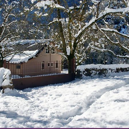 Chalet Coquelicot Καλάβρυτα Εξωτερικό φωτογραφία