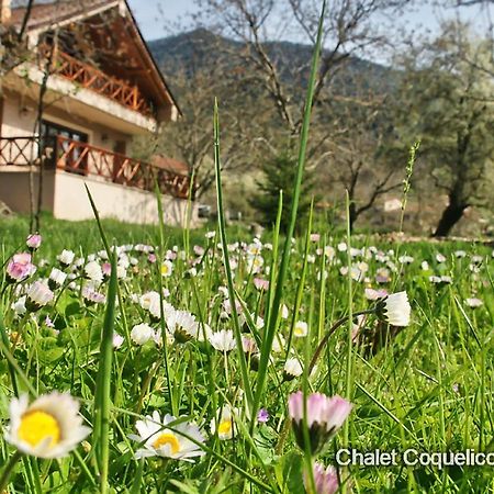 Chalet Coquelicot Καλάβρυτα Εξωτερικό φωτογραφία
