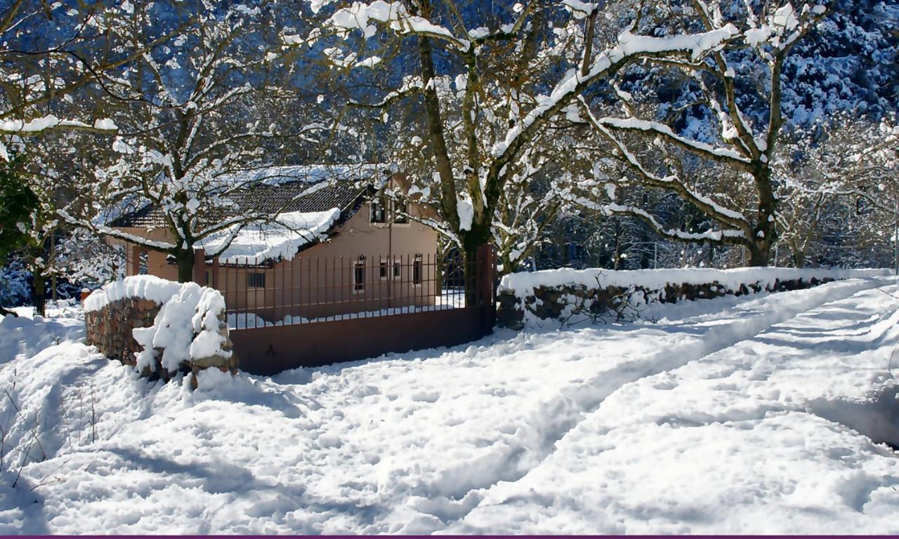Chalet Coquelicot Καλάβρυτα Εξωτερικό φωτογραφία