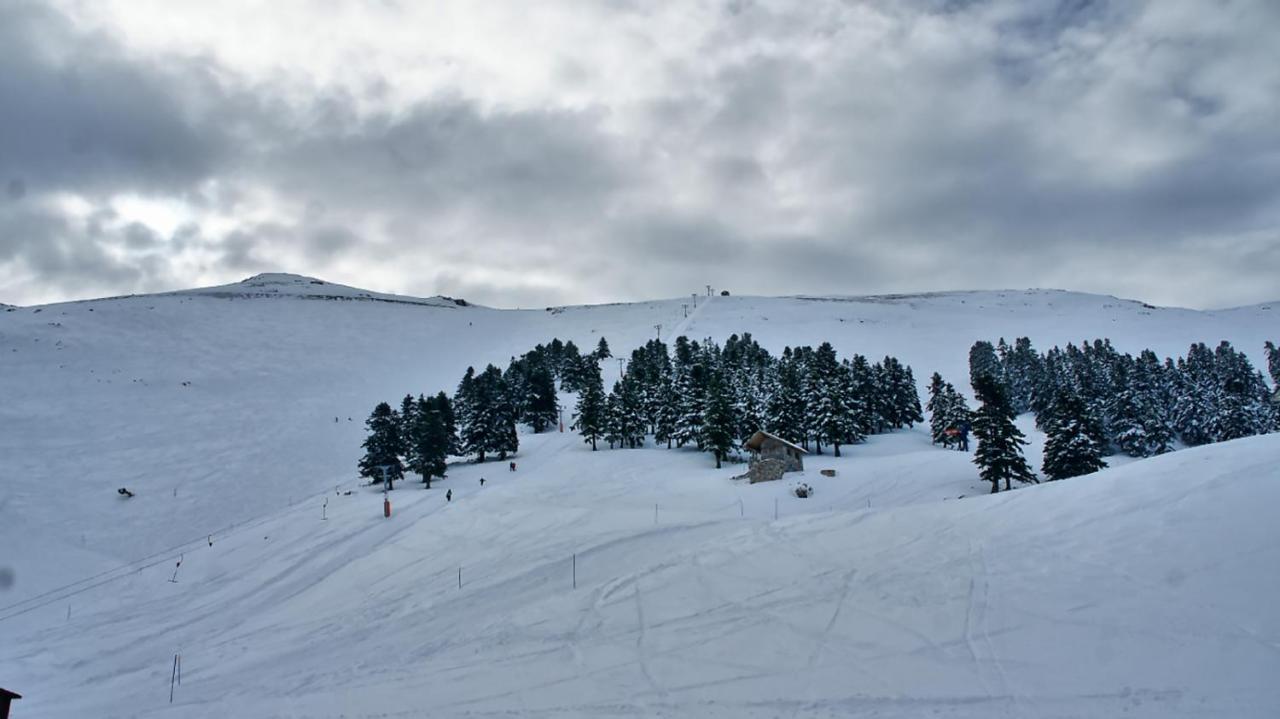 Chalet Coquelicot Καλάβρυτα Εξωτερικό φωτογραφία