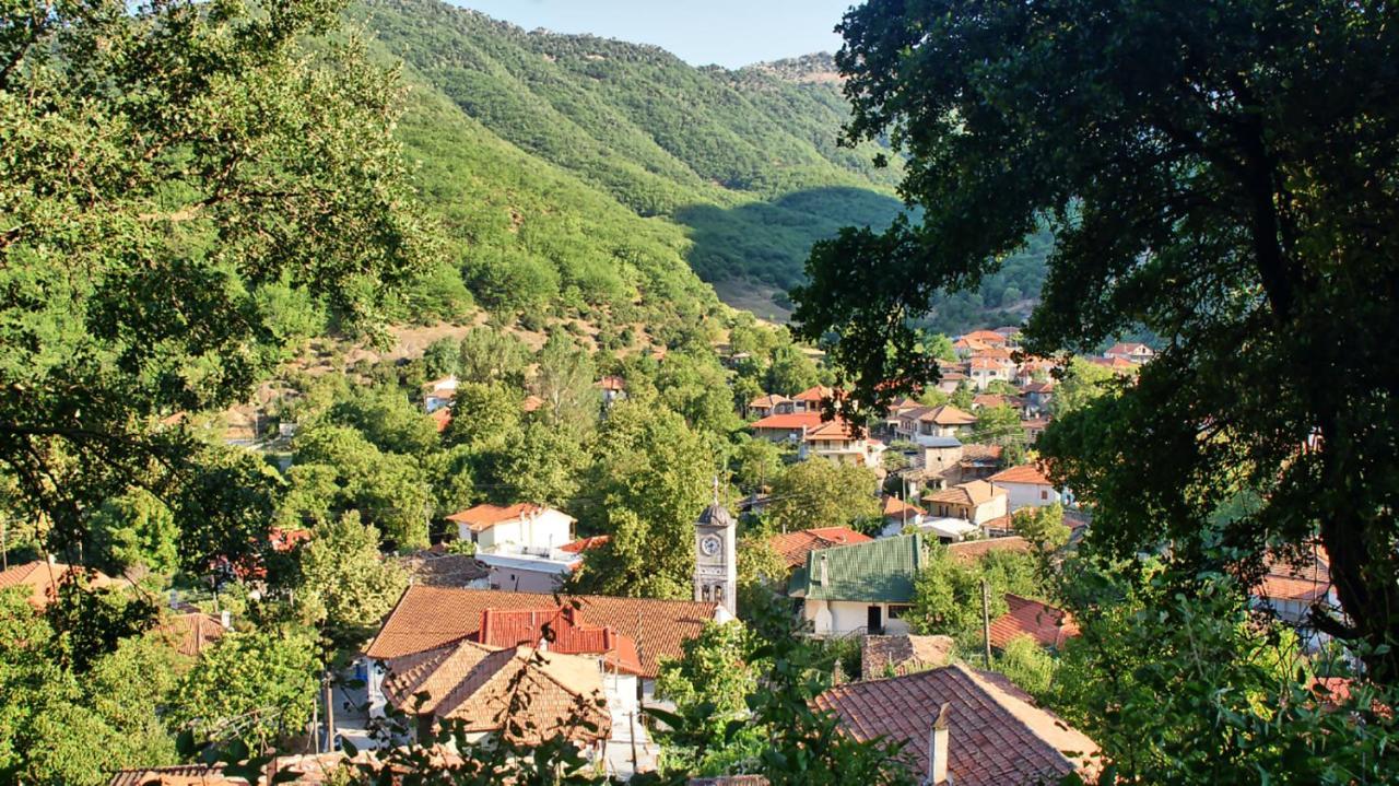 Chalet Coquelicot Καλάβρυτα Εξωτερικό φωτογραφία
