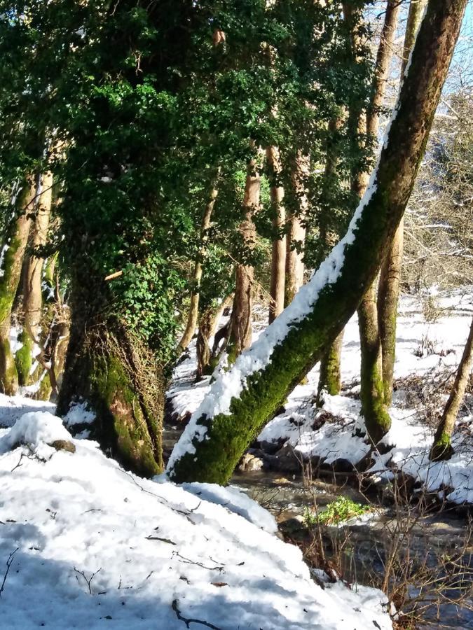 Chalet Coquelicot Καλάβρυτα Εξωτερικό φωτογραφία