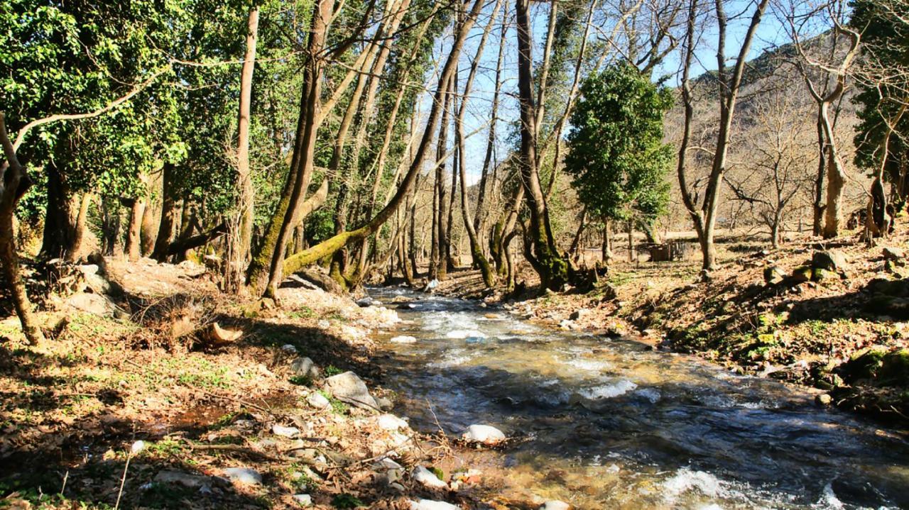 Chalet Coquelicot Καλάβρυτα Εξωτερικό φωτογραφία