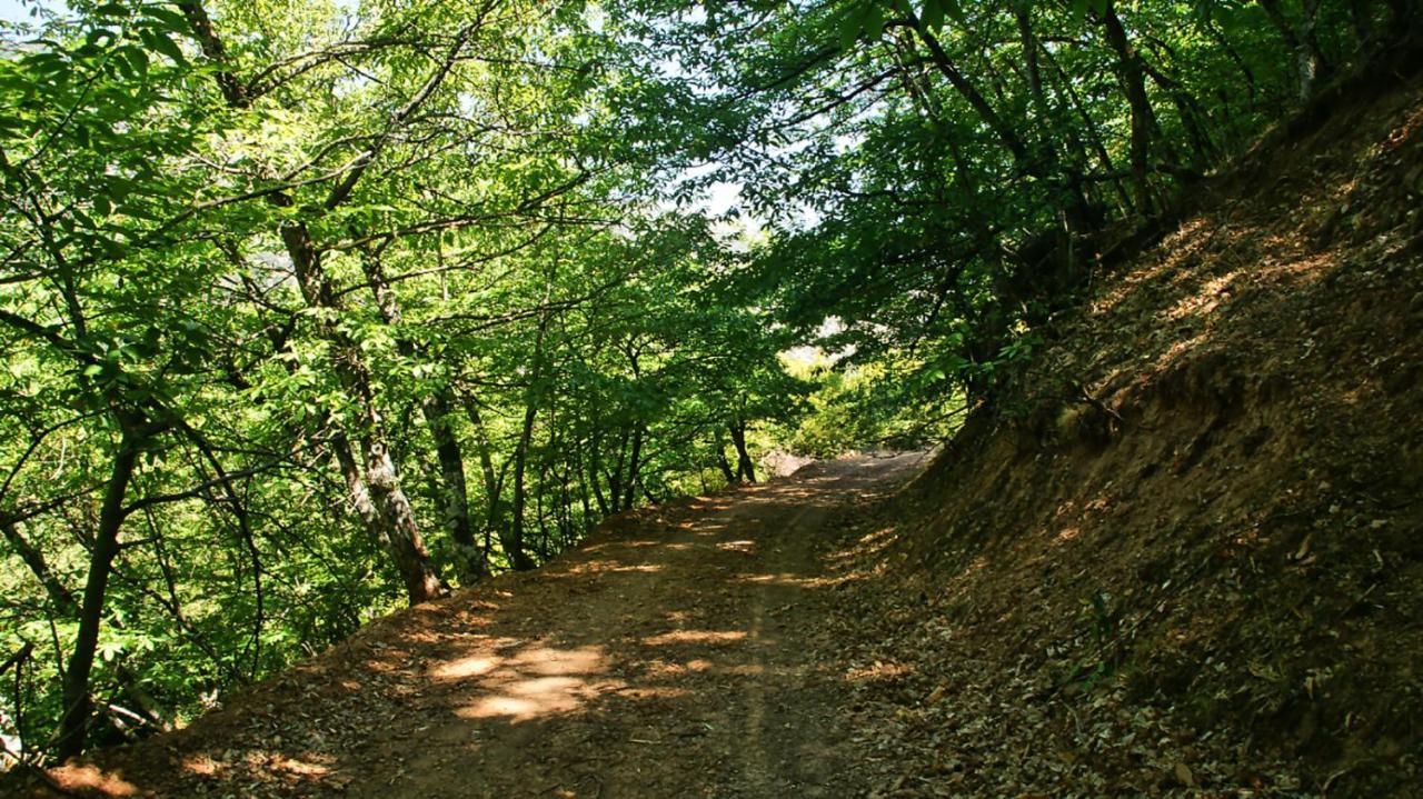 Chalet Coquelicot Καλάβρυτα Εξωτερικό φωτογραφία