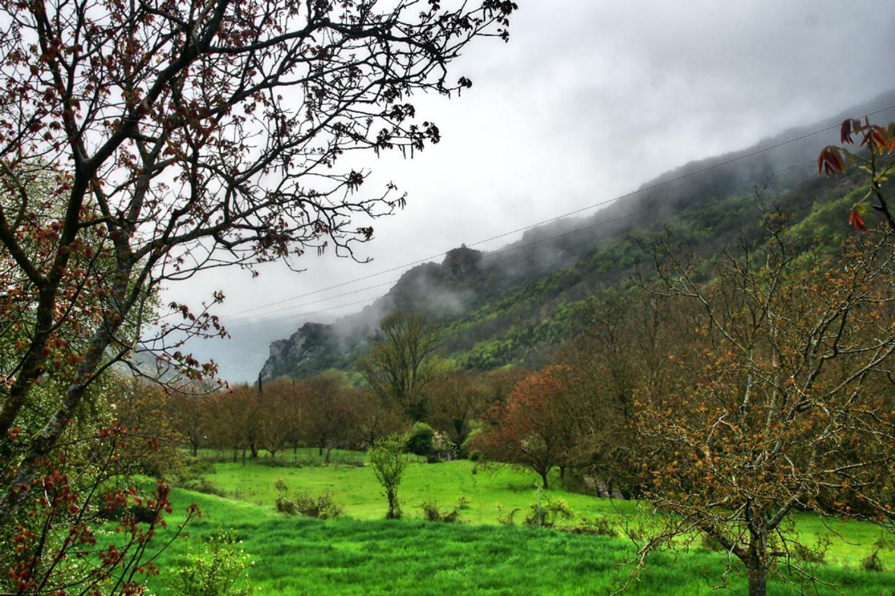 Chalet Coquelicot Καλάβρυτα Εξωτερικό φωτογραφία