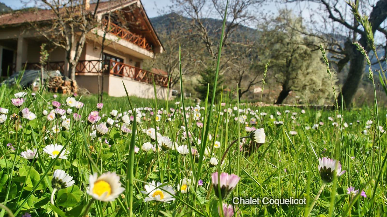 Chalet Coquelicot Καλάβρυτα Εξωτερικό φωτογραφία