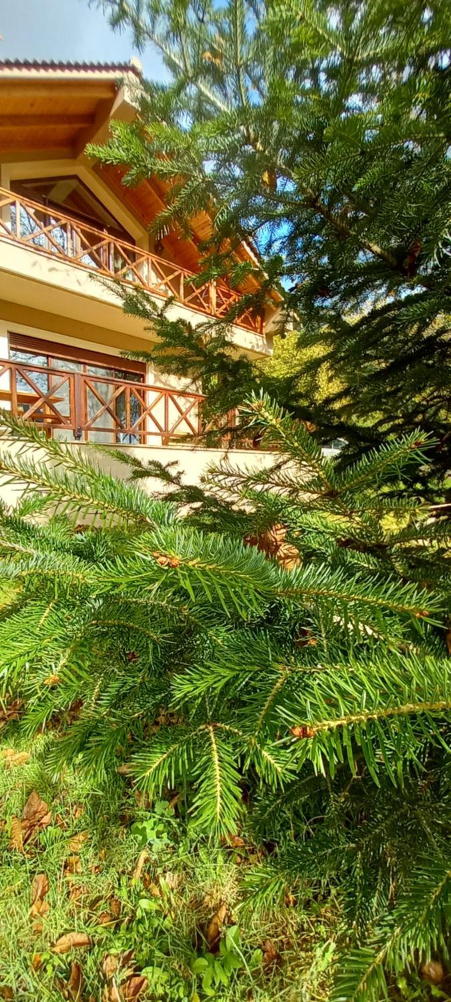 Chalet Coquelicot Καλάβρυτα Εξωτερικό φωτογραφία